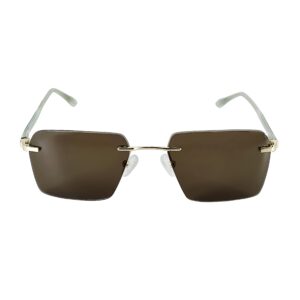 Sunglass